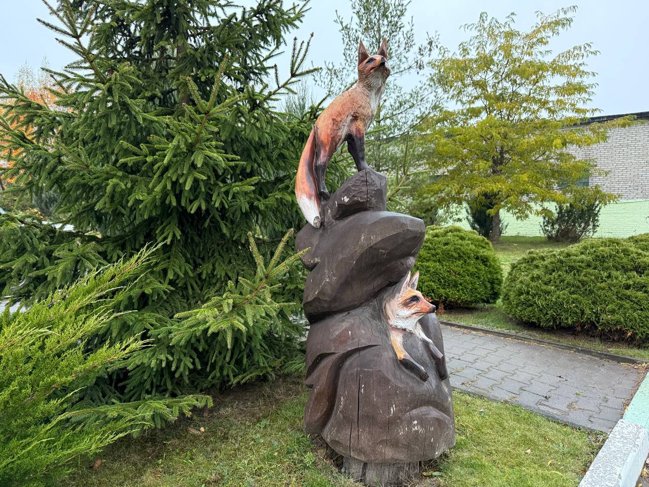 Заморозки до -5°С ожидаются в начале следующей недели в Могилевской области