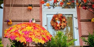 Дожди и около +10°Ϲ в дневные часы ожидается 27 октября в Могилевской области