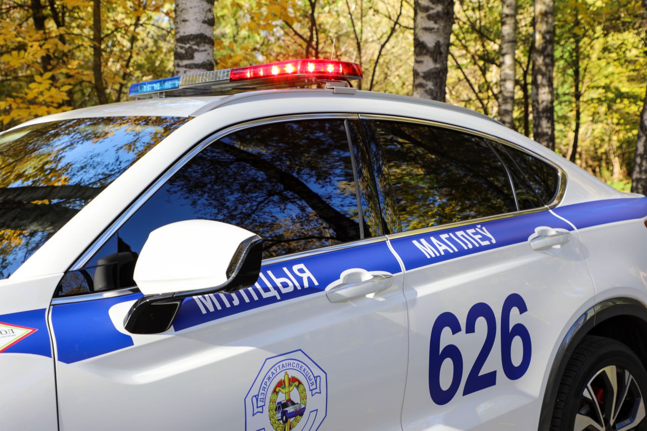 За выходные в Могилевской области — 4 ДТП и более 550 нарушений ПДД