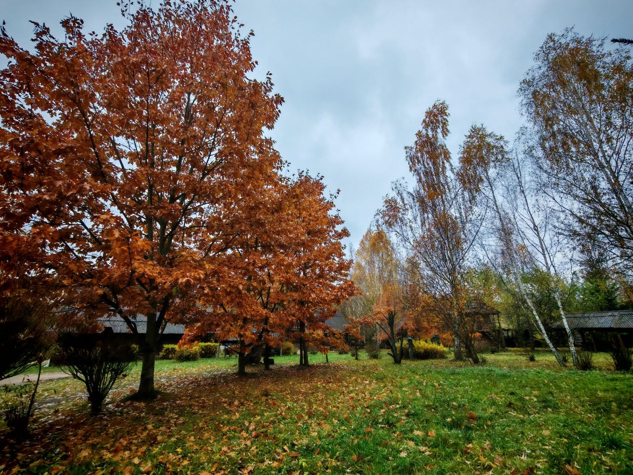 Кратковременные дожди и до +14°С ожидаются в начале следующей недели в Могилевской области