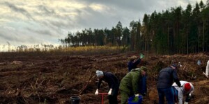 Федерация профсоюзов Беларуси присоединилась к акции «Дай лесу новае жыццё!» в Заходском лесничестве