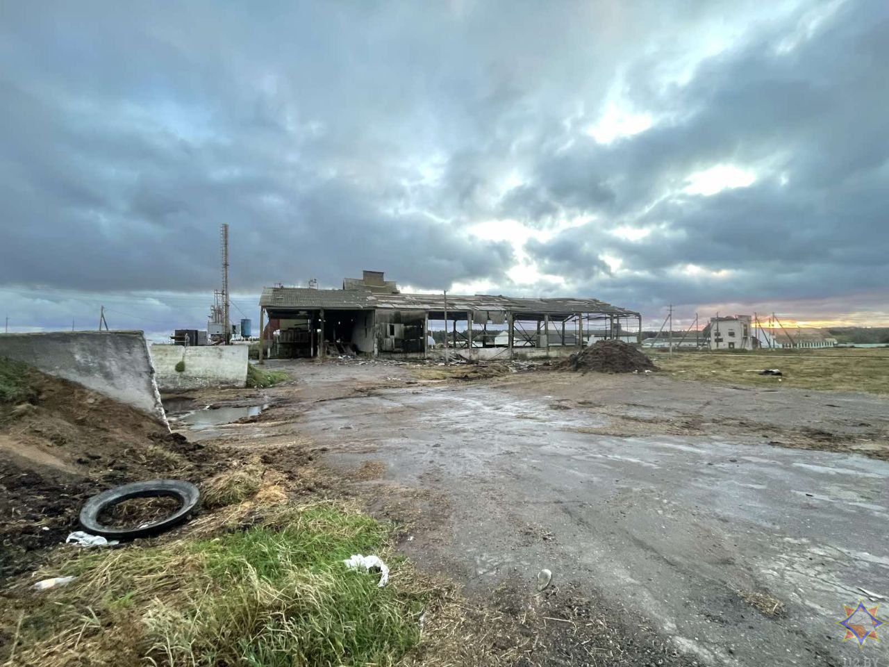 В Круглянском районе ветер разрушил телятник — спасено 75 животных