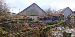Непогода повредила здания и хозяйственные объекты в Могилевской области