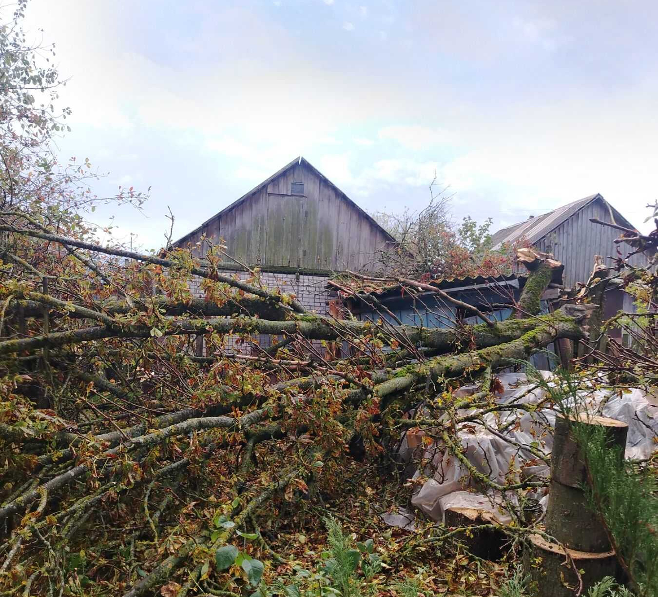 Непогода повредила здания и хозяйственные объекты в Могилевской области