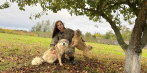 4 октября — Всемирный день защиты животных. Добрая история Пальмы