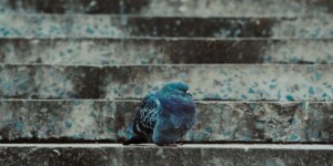 Могилев в объективе: улицы, люди, настроение