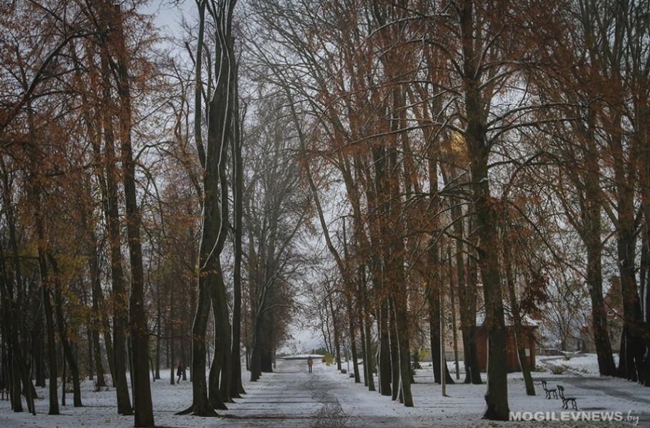 Погода на 20 ноября: мокрый снег и гололедица ожидаются в Могилевской области