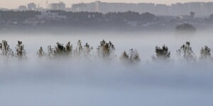 Оранжевый уровень опасности в связи с туманом объявлен в Могилевской области на 5 ноября