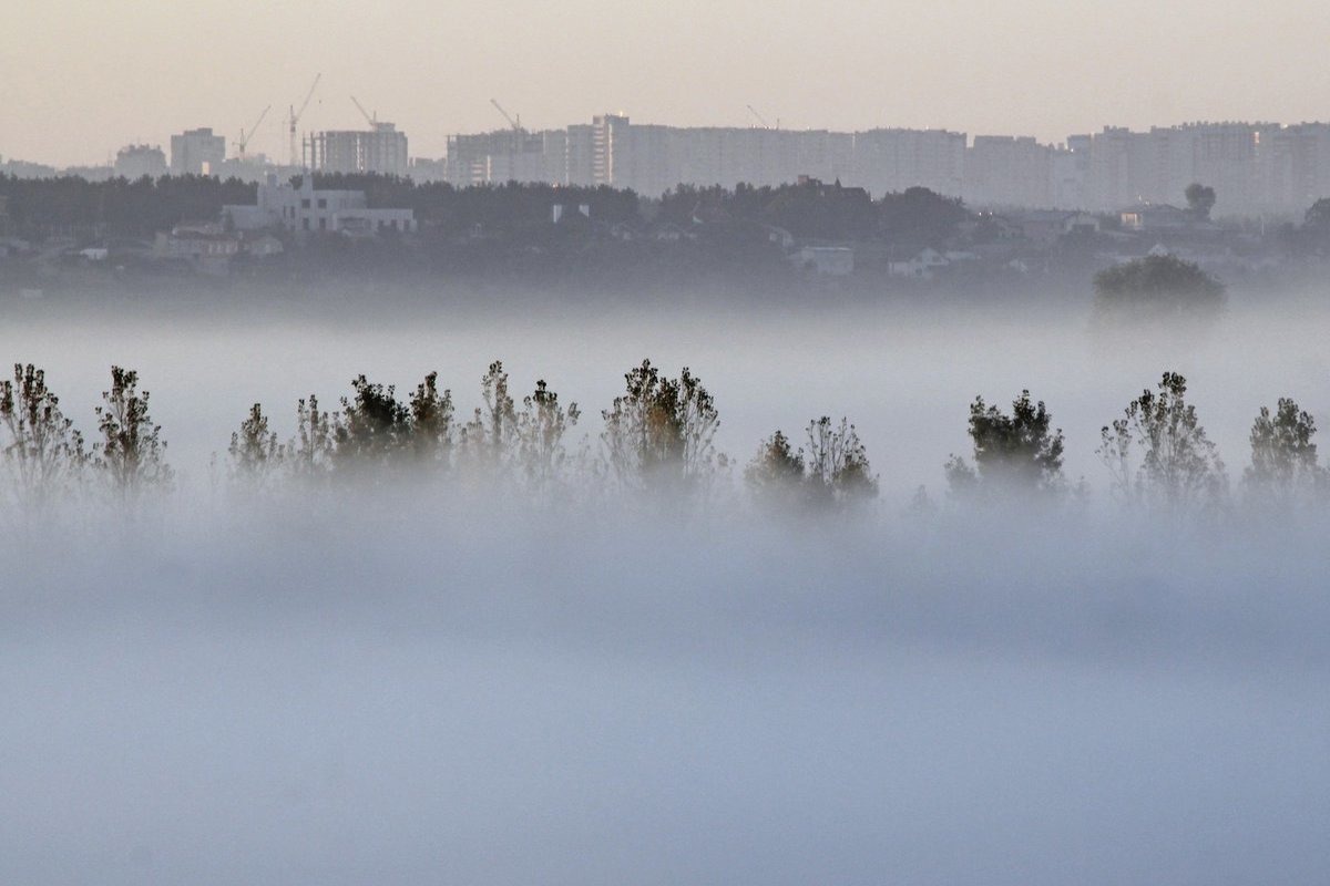 Оранжевый уровень опасности в связи с туманом объявлен в Могилевской области на 5 ноября