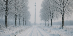 Связь для абонентов А1 стала лучше в Могилевской области: завершен новый этап расширения 4G-сети