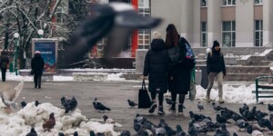 Погода на выходные: до +6°С днем, местами дождь