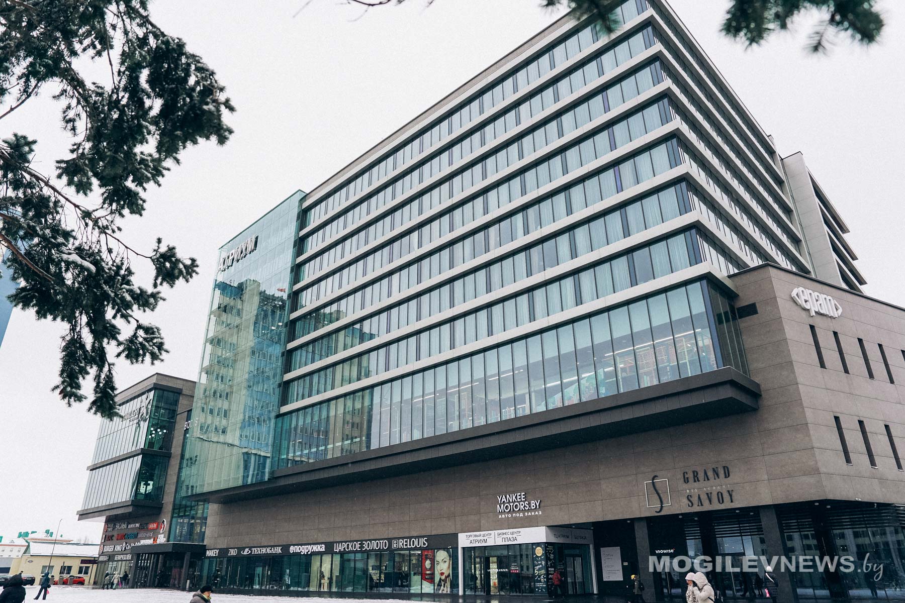 Погода на 29 ноября: от -5°С до +5°С, дождь, туман и слабый гололед в Могилевской области