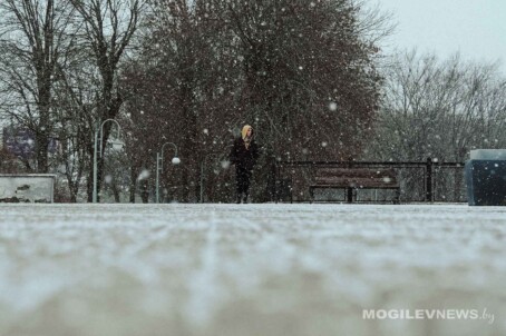 Погода на 21 ноября: осадки и до +6°С в дневные часы ожидается в Могилевской области