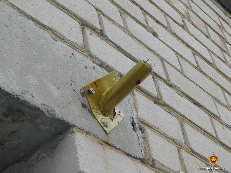 Установлены лица, причастные к надругательству над госсимволом в Дрибинском районе