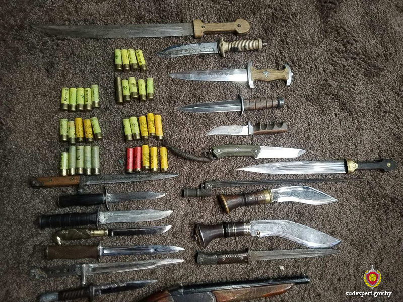 У жителя Могилевского района изъяли почти 20 ножей и обрез