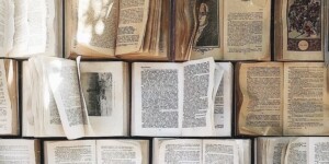 Тело просит спать, мозг хочет грустить: 10 книг для спасения от осенней хандры