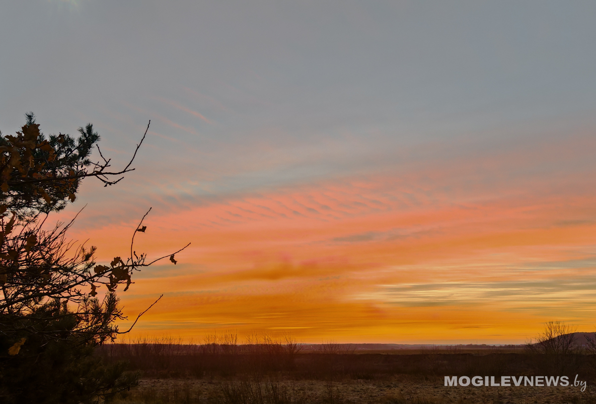 Прогноз геомагнитной активности для Могилевской области на 26 ноября: геомагнитных бурь не ожидается