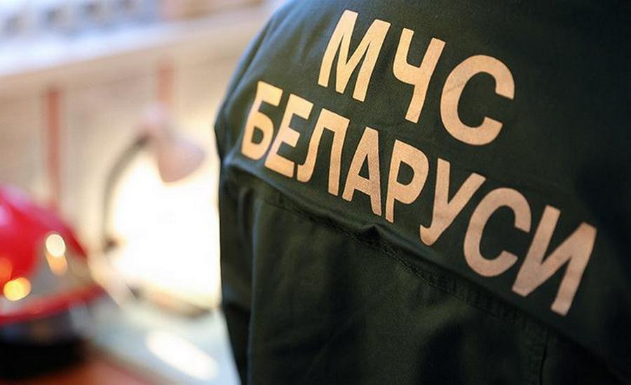 Пожар на Игналинской АЭС в Литве: МЧС Беларуси ведет мониторинг и предложило помощь