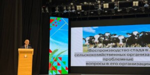 Семинар-учеба по искусственному осеменению животных собрал в Горках сельхозработников региона. Фото