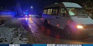 В Могилевском районе микроавтобус сбил пешехода насмерть
