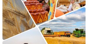 Поздравление с Днем работников сельского хозяйства и перерабатывающей промышленности АПК