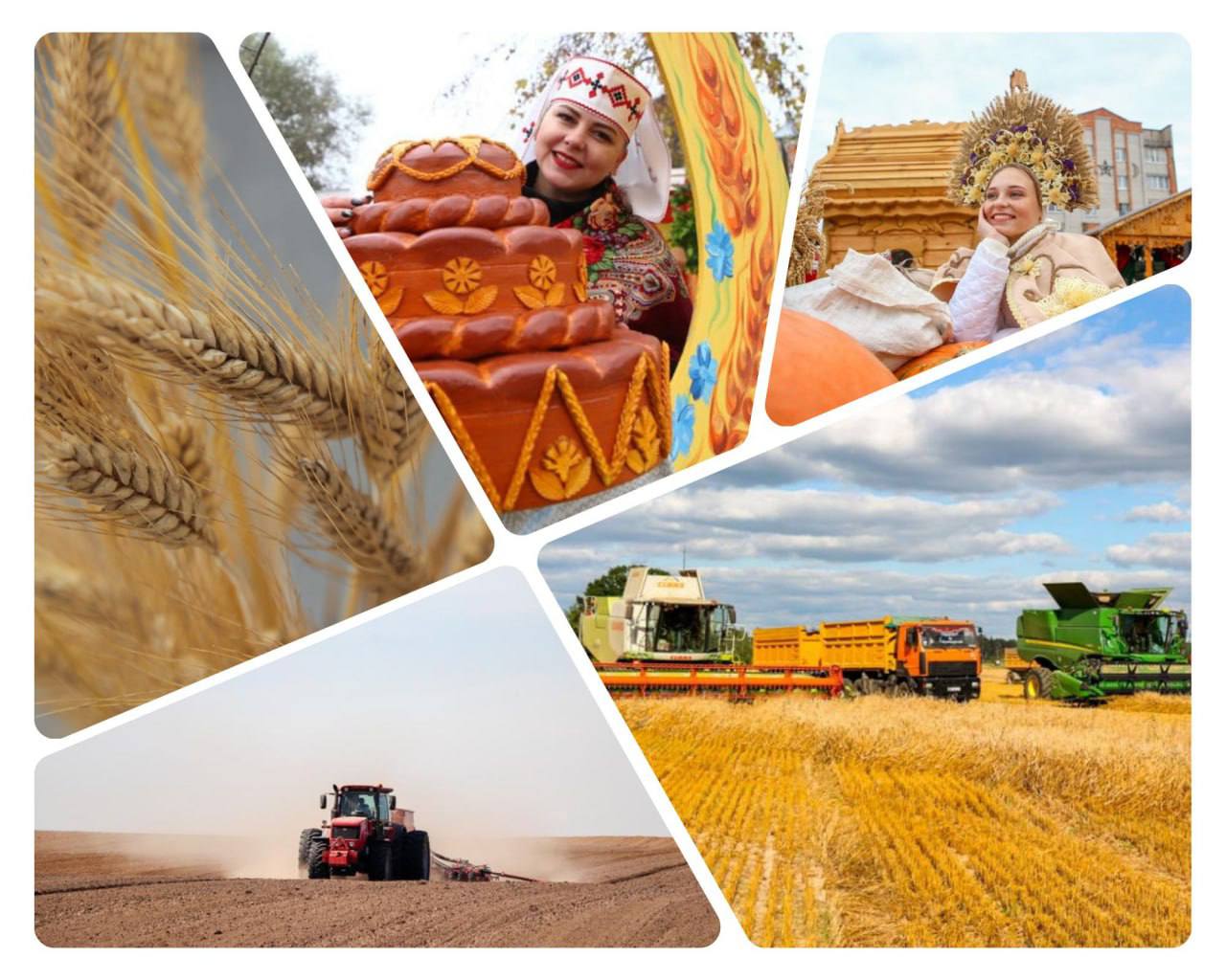 Поздравление с Днем работников сельского хозяйства и перерабатывающей промышленности АПК