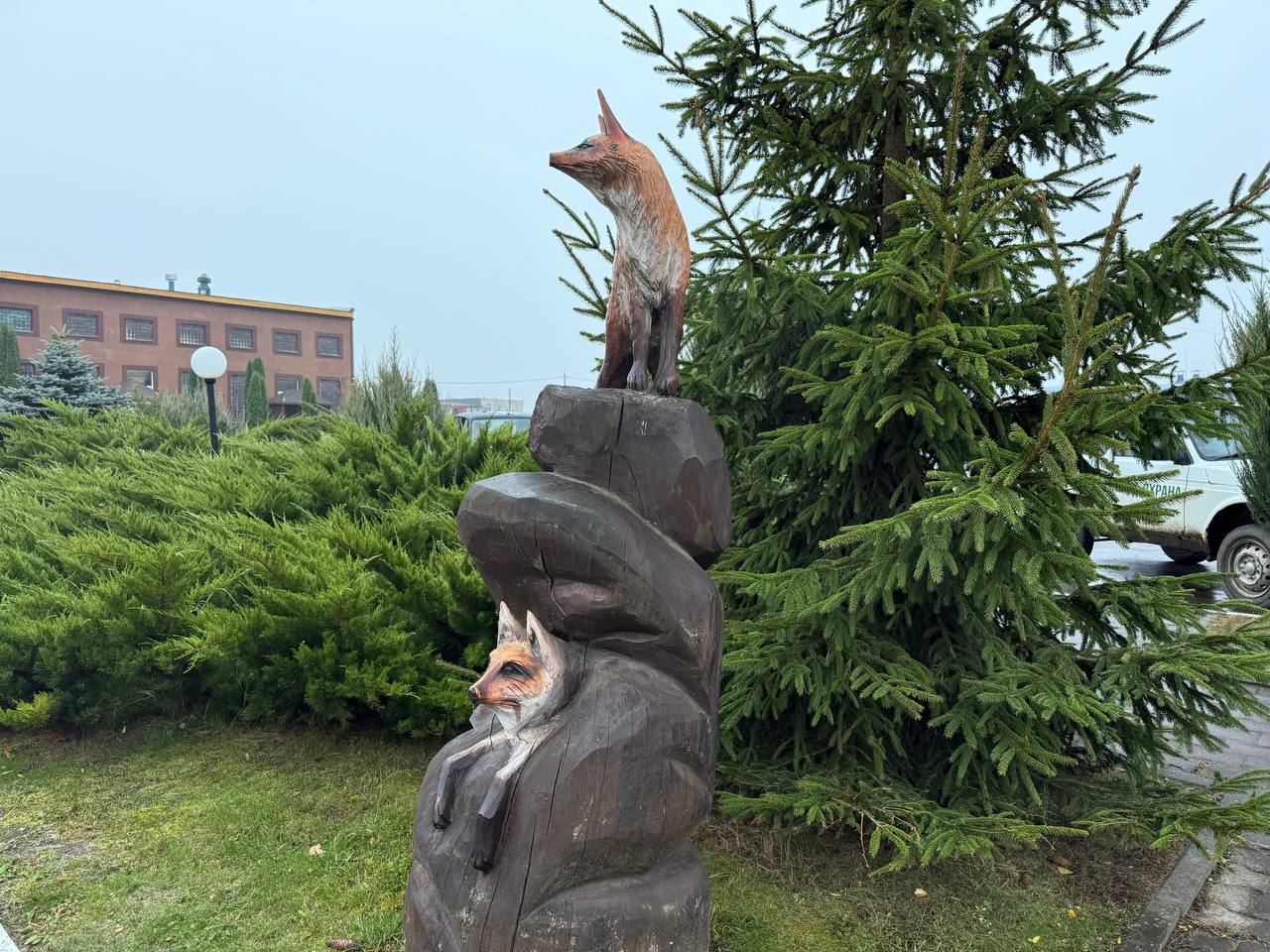 Без осадков и до +14°С ожидается в Могилевской области 3 ноября