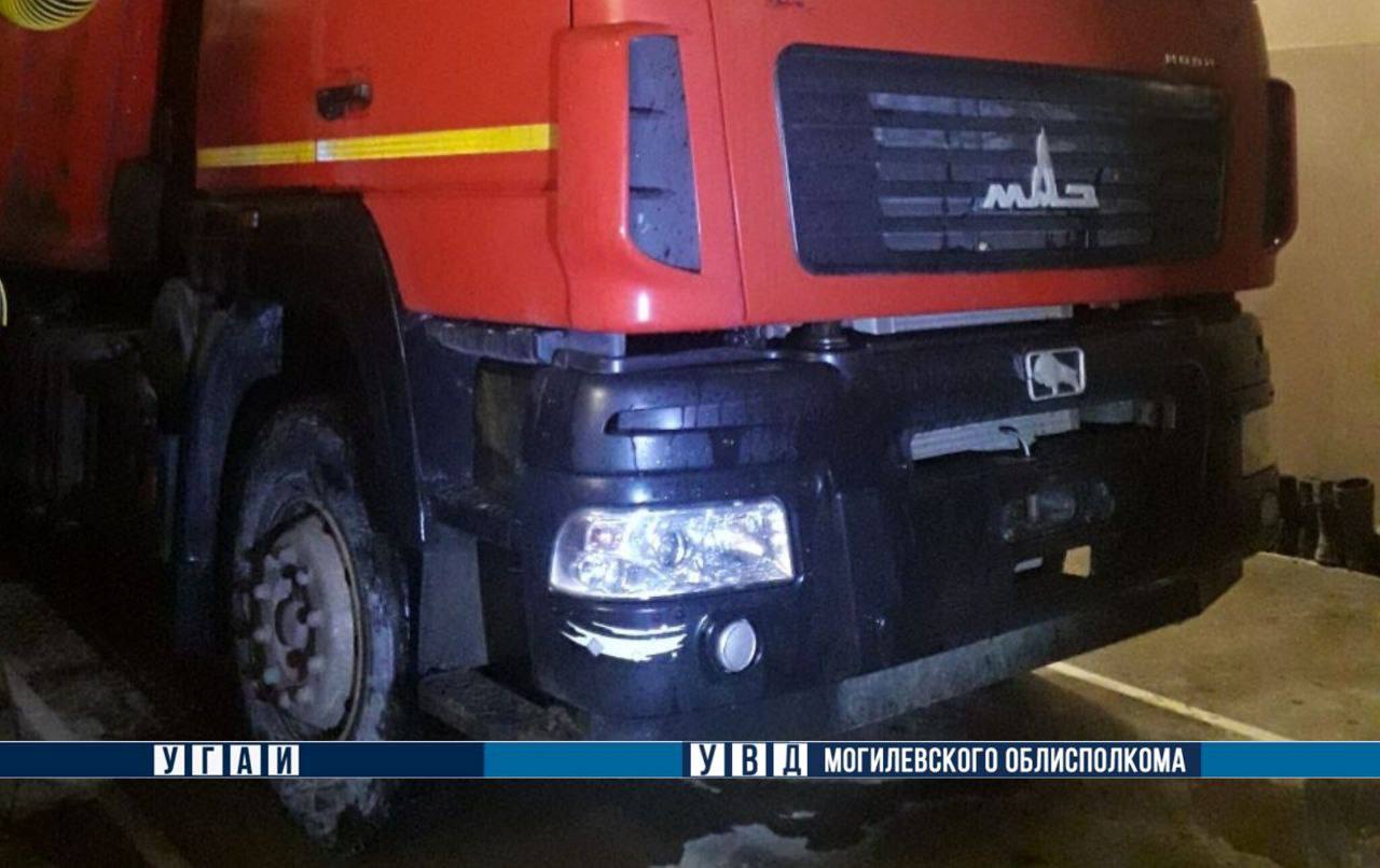 В Кричевском районе водитель грузовика насмерть сбил пешехода и скрылся