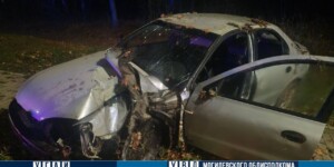 В Могилевском районе опрокинулся Hyundai: пострадали водитель и пассажир