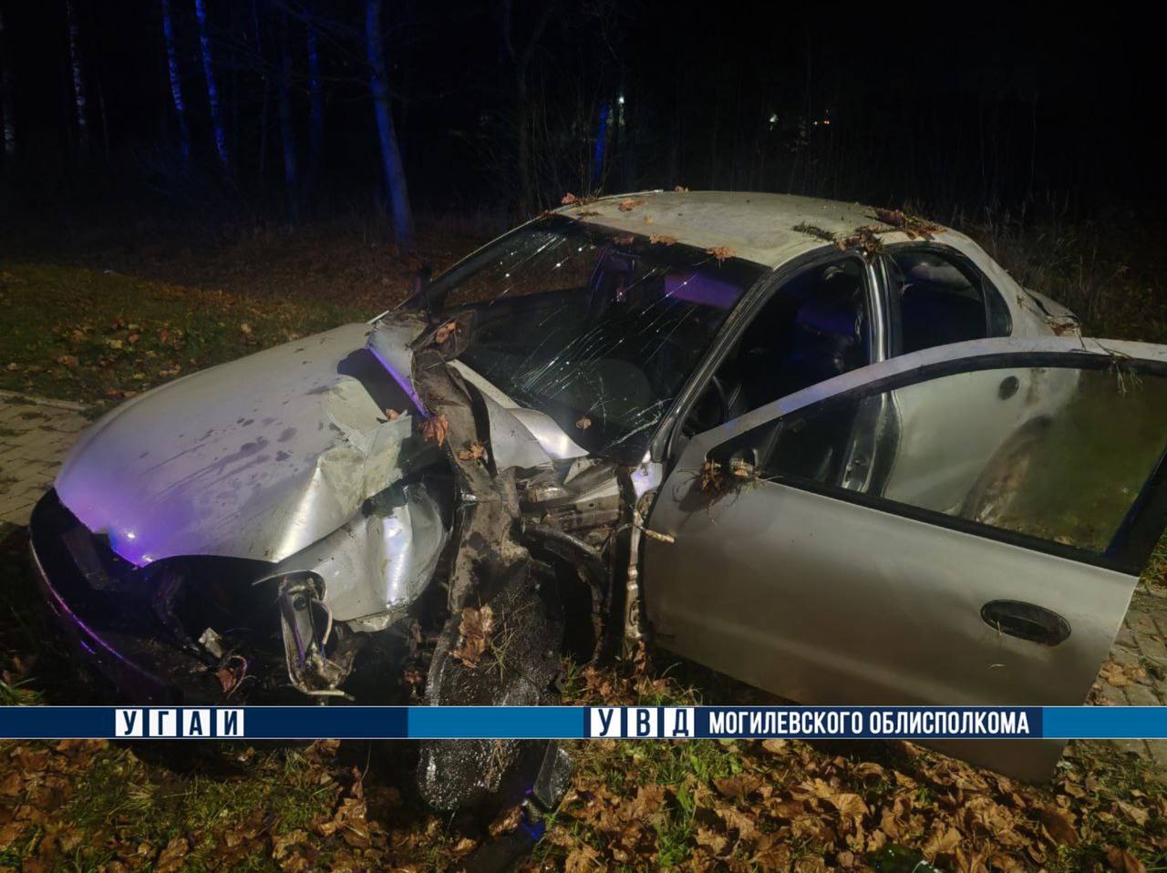 В Могилевском районе опрокинулся Hyundai: пострадали водитель и пассажир