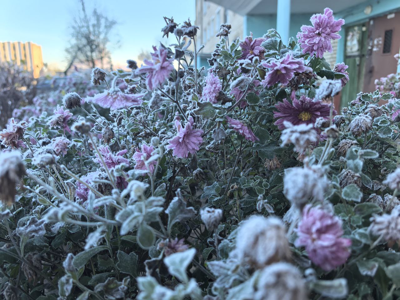 Мокрый снег, переходящий в дождь, и не выше +8°С ожидается в Могилевской области 17 ноября