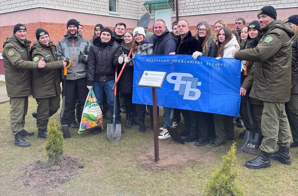 В санатории «Свислочь» заложили юбилейную аллею из 150 туй к 50-летию учреждения