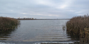 Осенняя рыбалка в Кировском районе закончилась гибелью мужчины