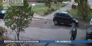 В Бобруйске задержана курьер телефонных мошенников