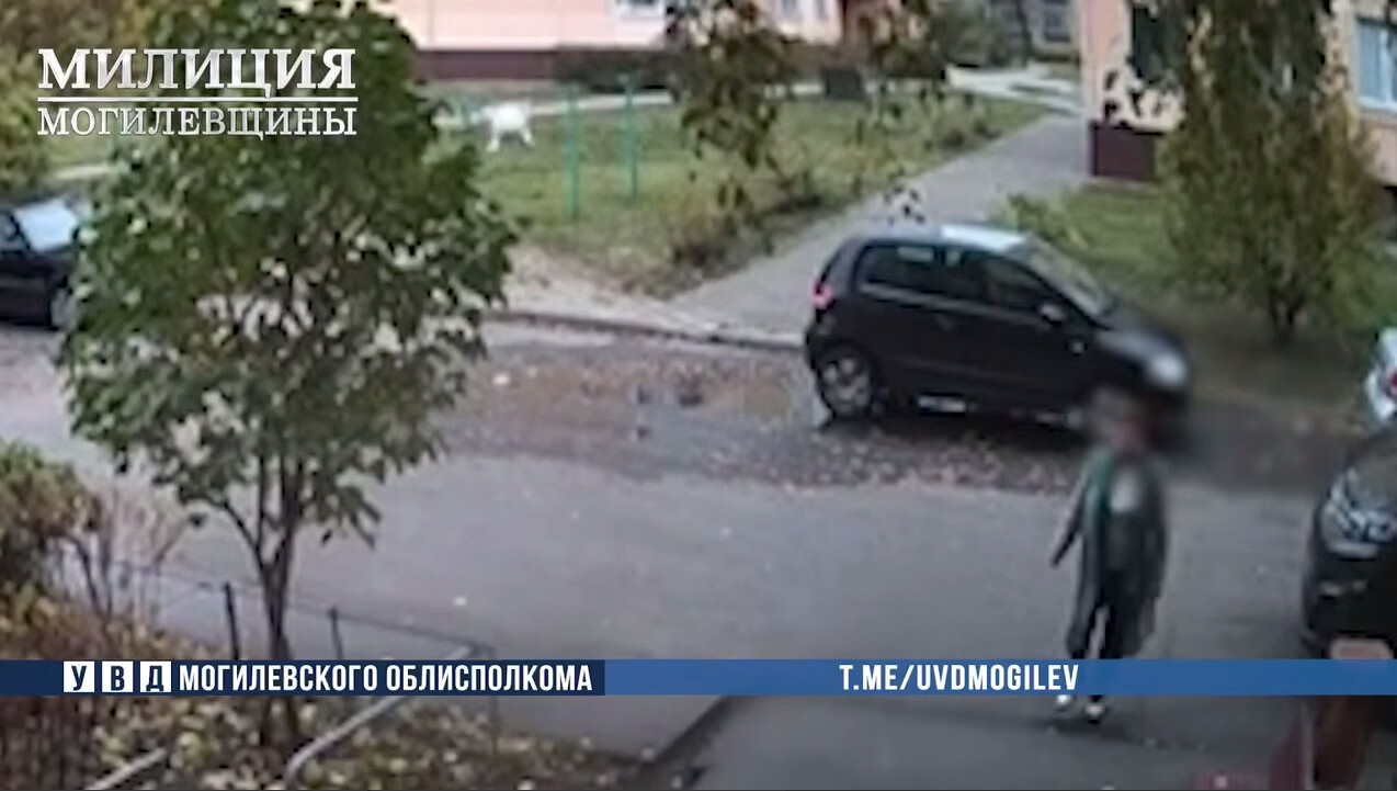 В Бобруйске задержана курьер телефонных мошенников