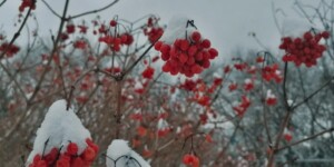 Погода на неделю: обильные осадки и дальнейшее понижение температуры воздуха