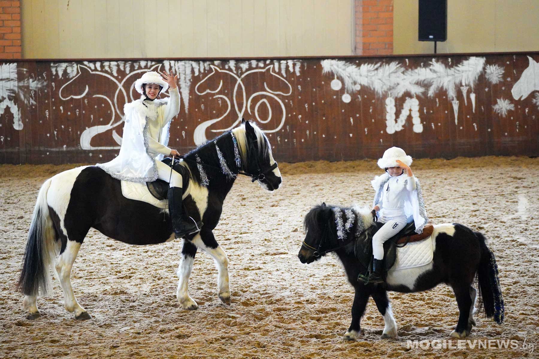 Сказка в конном манеже: как в Могилеве встречают Новый год лошадиными танцами и трюками