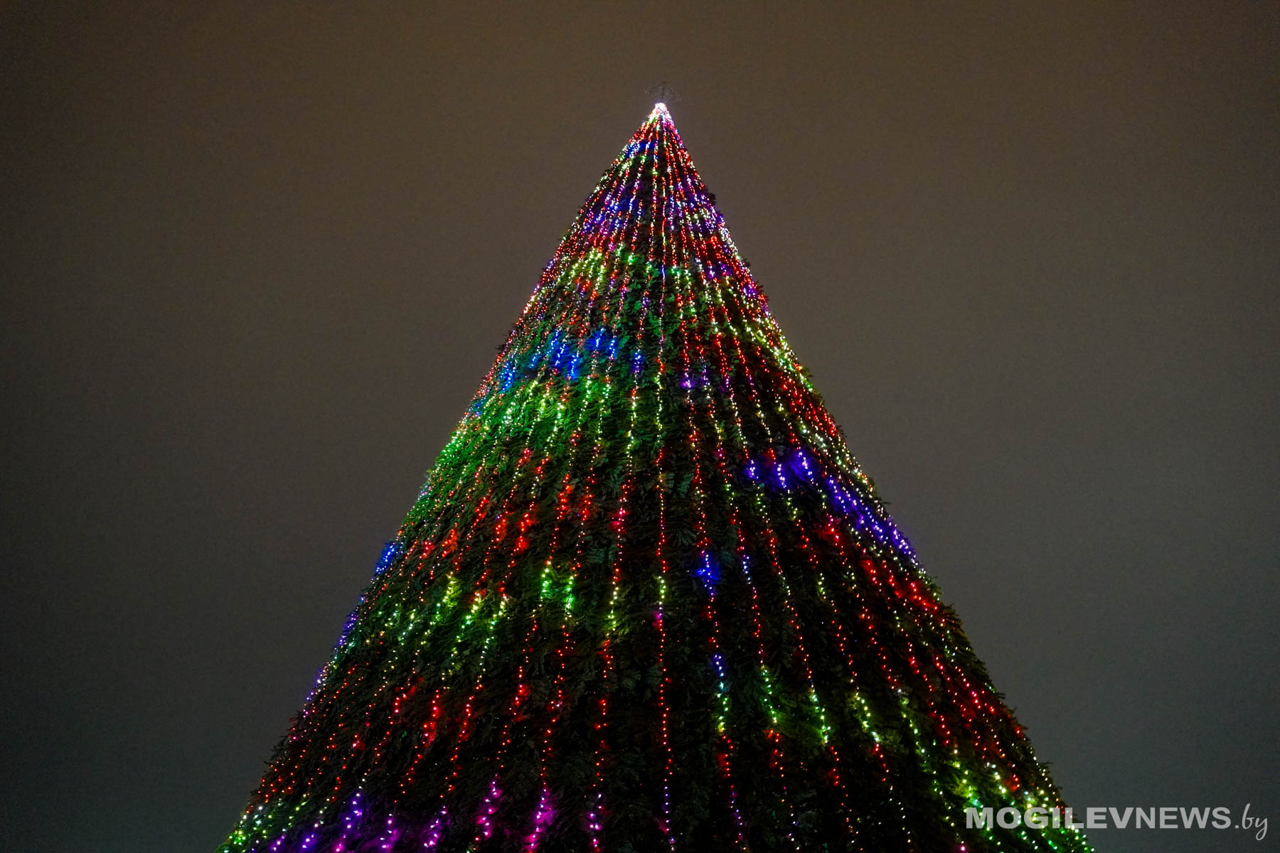Масштабная программа, современные тренды, тысячи пикселей и море радости. В Могилеве зажгли огни на главной елке региона