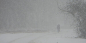 Погода на 28 декабря: сложные погодные условия — сильный ветер и метель в Могилевской области