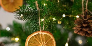 Лайфхаки, как сохранить живую елку свежей на все новогодние праздники