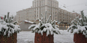 Погода на 23 декабря: до -10°С в ночные часы и немного снега ожидается в Могилевской области