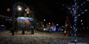 Погода на 20 декабря: оранжевый уровень опасности в связи с туманом и гололедом в Могилевской области