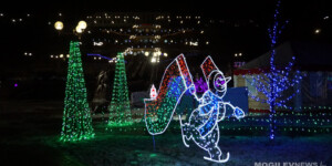 Погода на длинные выходные: сильный порывистый ветер принесет очередное потепление в Могилевскую область