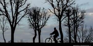 Погода на 4 декабря: до +7°С, временами дождь ожидается в Могилевской области