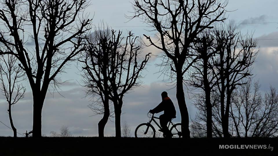 Погода на 4 декабря: до+7°С, временами дождь ожидается в Могилевской области