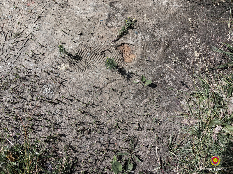 Автовора, судимого уже 16 раз, задержали в Могилеве