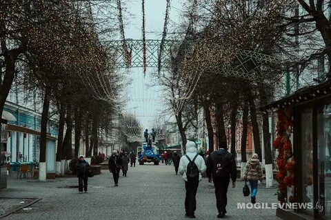Погода на 19 декабря: облачно, без существенных осадков и около 0°С в Могилевской области