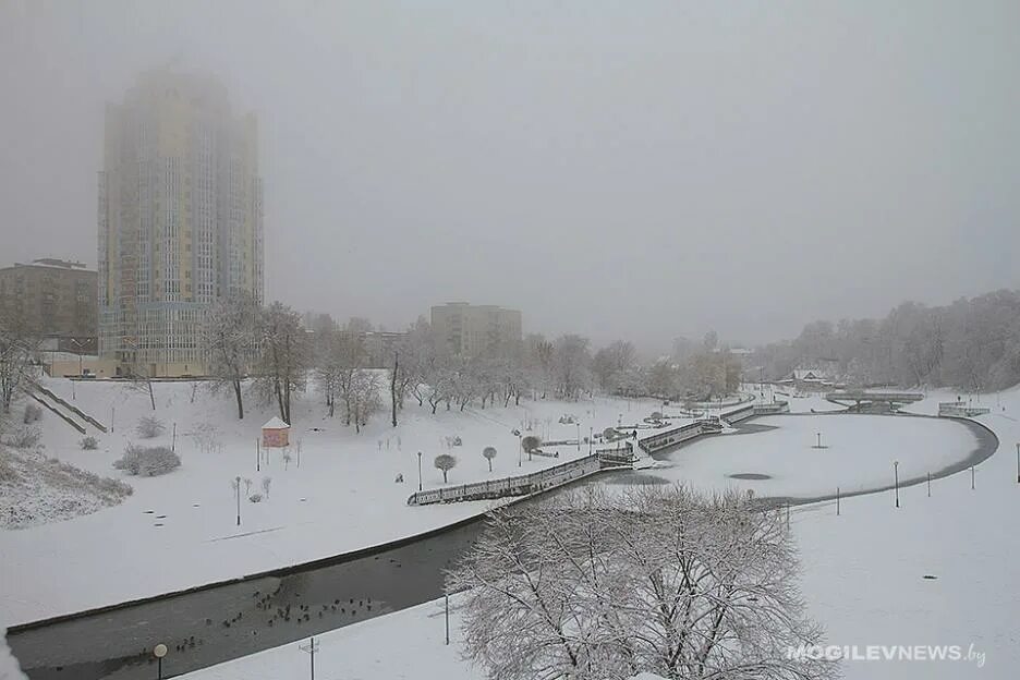 Погода на 26 декабря: оранжевый уровень опасности в связи с сильными осадками ночью и дневной «плюс» в Могилевской области
