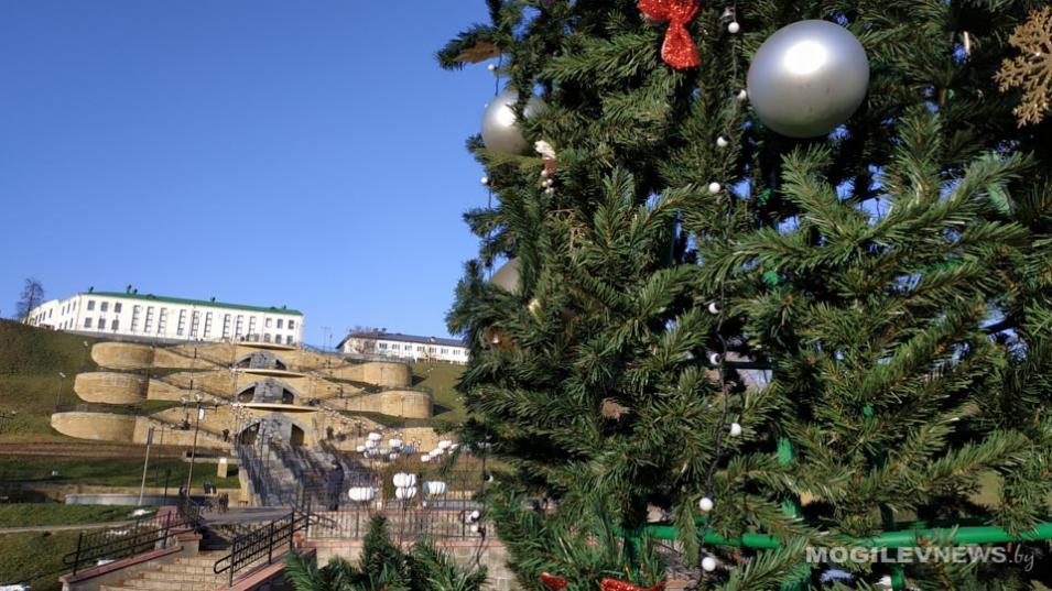 Погода на 27 декабря: облачно, все виды осадков и до +3°С днем в Могилевской области