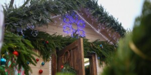 Погода на 25 декабря: морозно, местами небольшой снег в Могилевской области